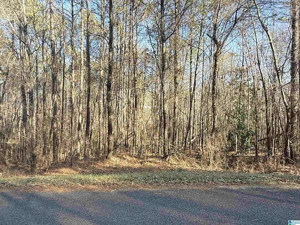 1.28 Acres of Residential Land for Sale in Glencoe, Alabama