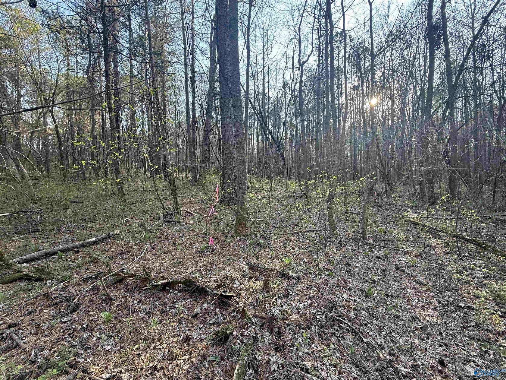 7 Acres of Residential Land for Sale in Toney, Alabama