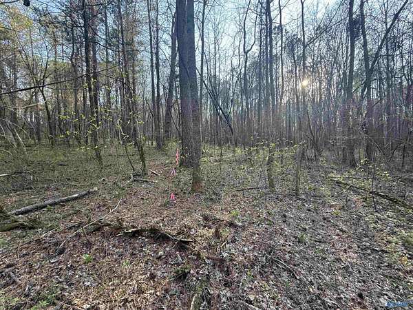 7 Acres of Residential Land for Sale in Toney, Alabama
