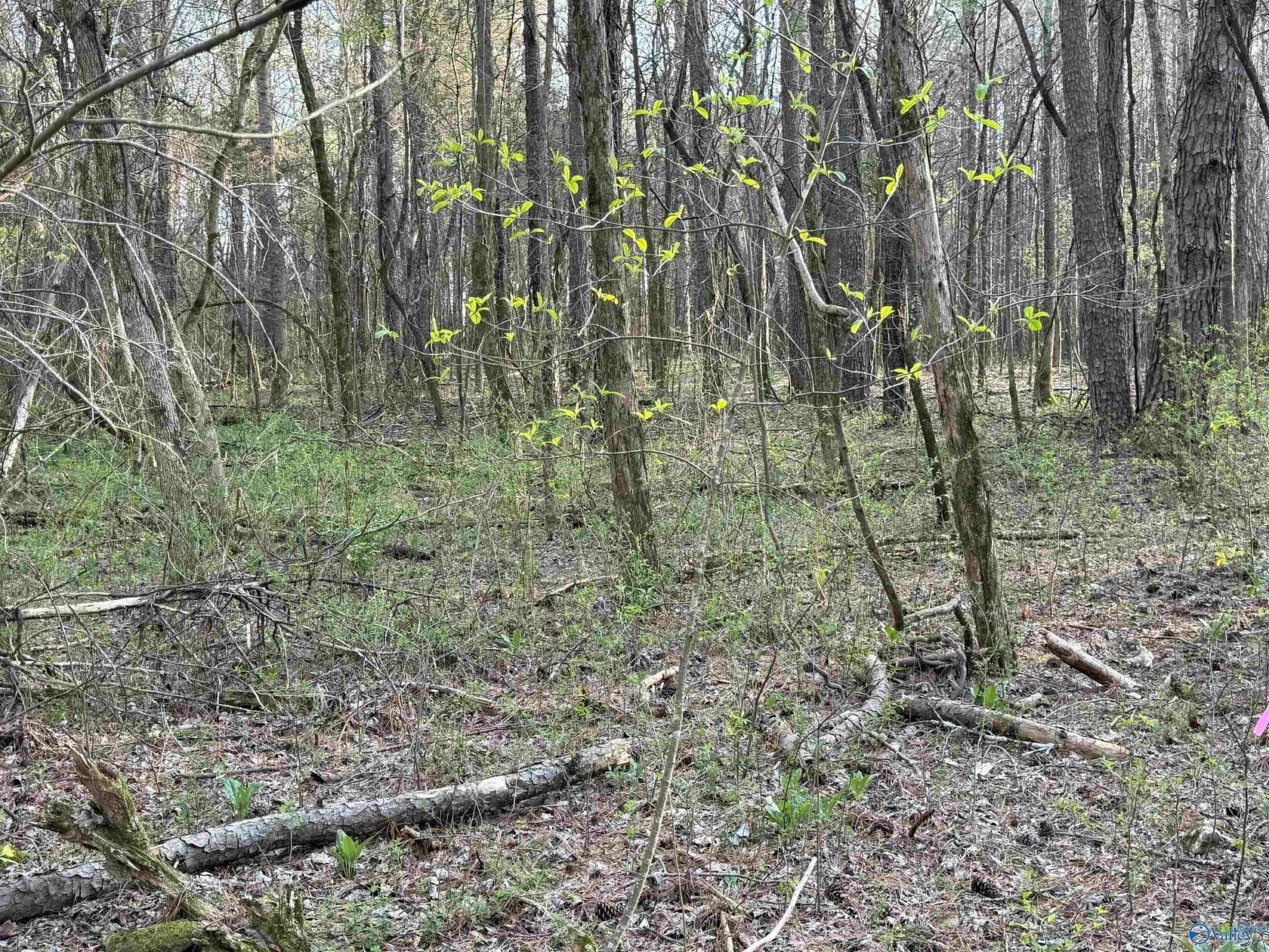 3 Acres of Residential Land for Sale in Toney, Alabama