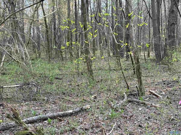 3 Acres of Residential Land for Sale in Toney, Alabama