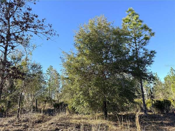 4.75 Acres of Land for Sale in Archer, Florida