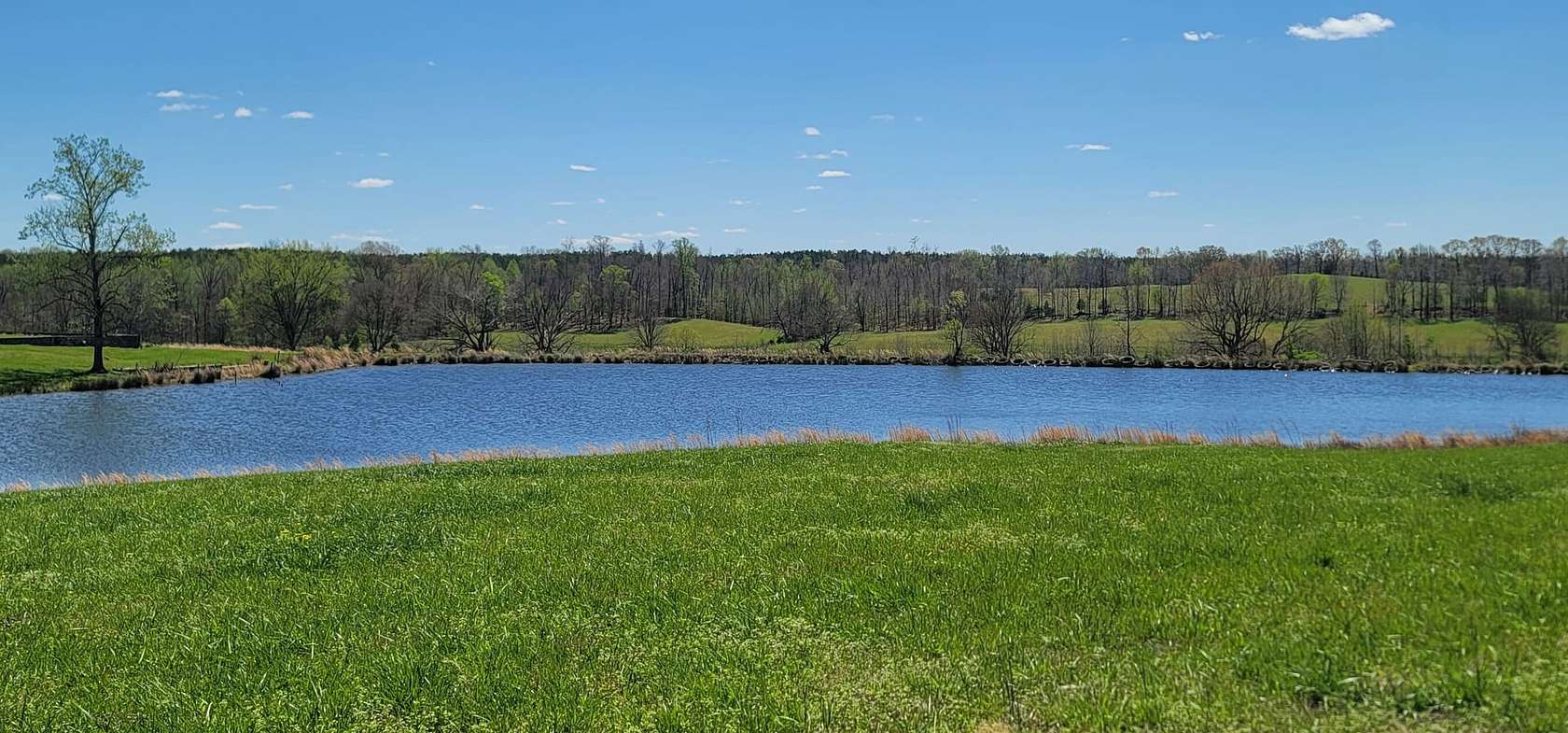 195 Acres of Recreational Land & Farm for Sale in Chewalla, Tennessee