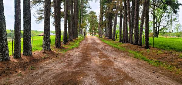 208 Acres of Land with Home for Sale in Chewalla, Tennessee