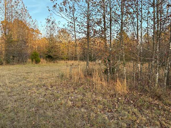 80 Acres of Recreational Land & Farm for Sale in Fort Towson, Oklahoma