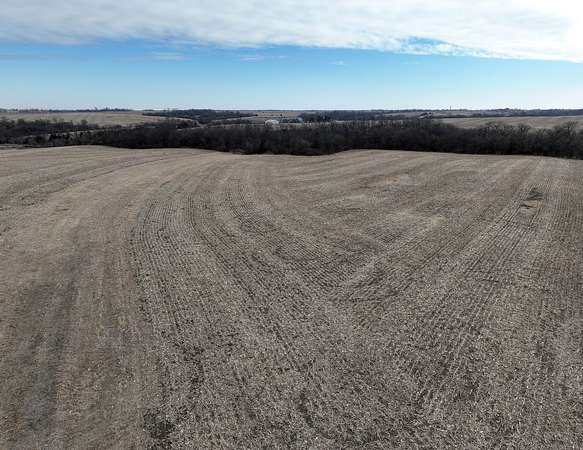 39 Acres of Land for Sale in Albia, Iowa