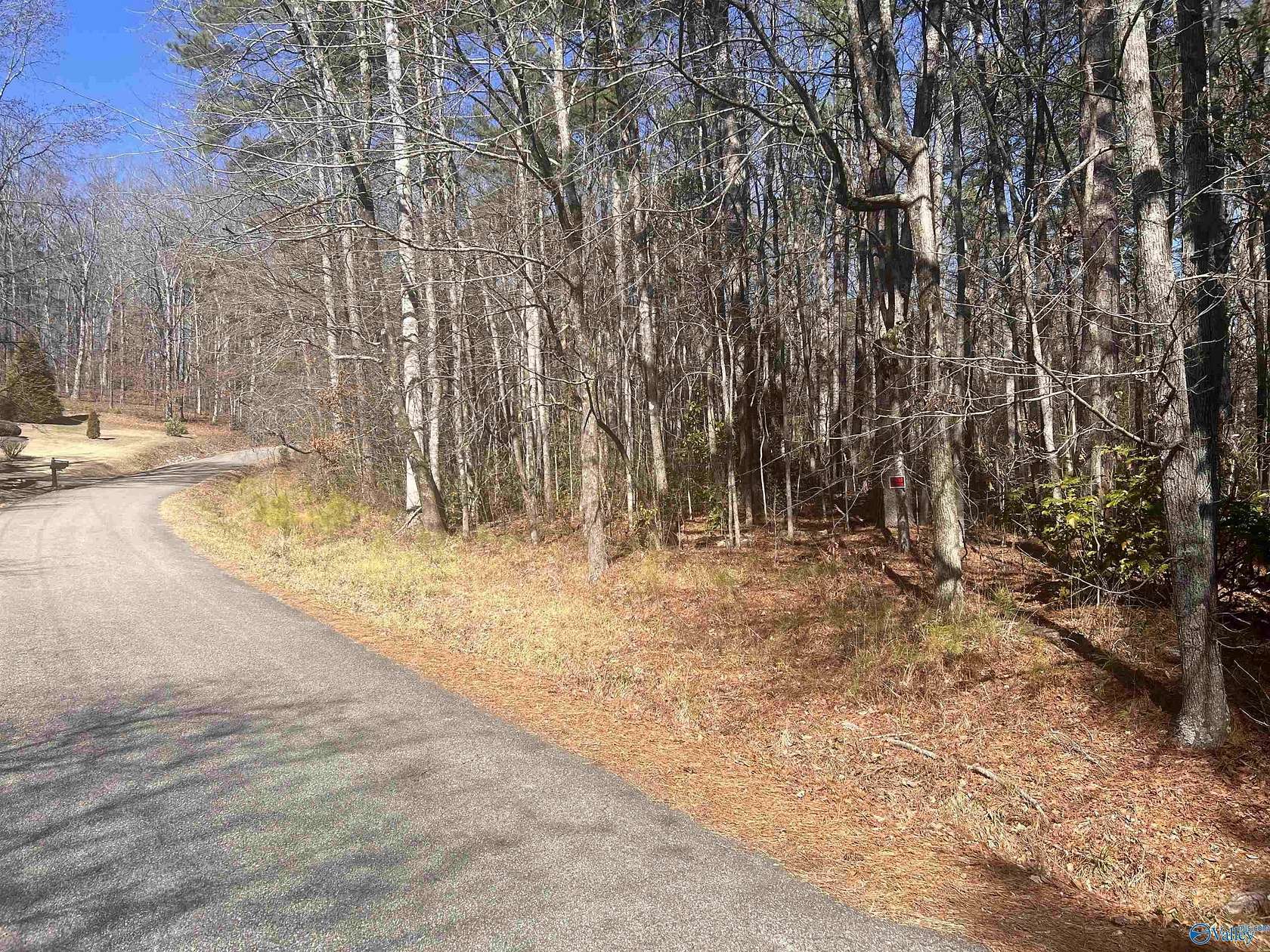 1.24 Acres of Residential Land for Sale in Gadsden, Alabama