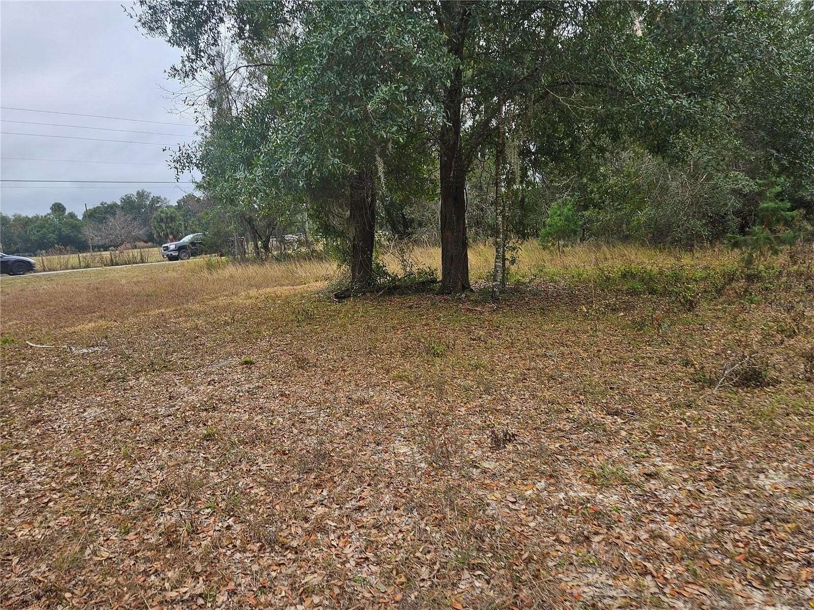 2 Acres of Residential Land for Sale in Weirsdale, Florida