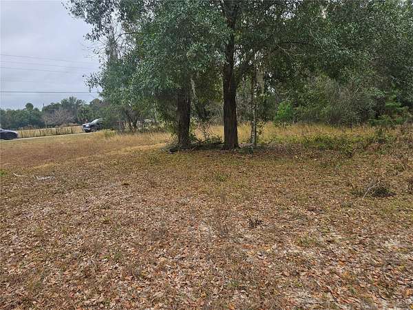 2 Acres of Residential Land for Sale in Weirsdale, Florida