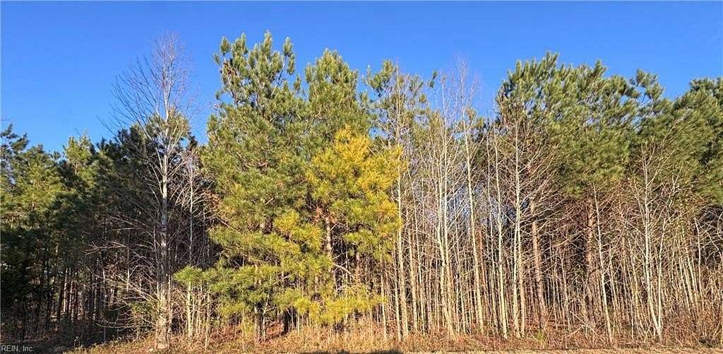 1.35 Acres of Land for Sale in Dendron, Virginia