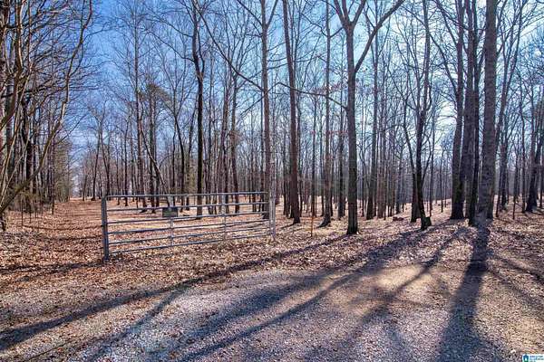 16 Acres of Land for Sale in Somerville, Alabama