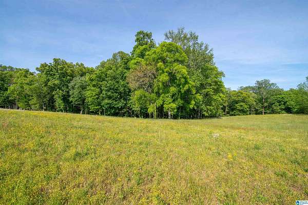 16 Acres of Land for Sale in Somerville, Alabama