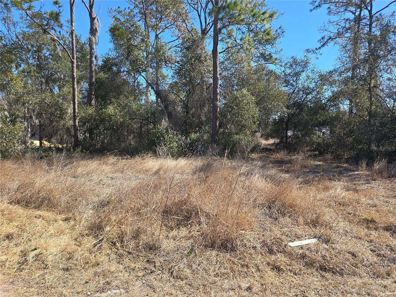 0.16 Acres of Residential Land for Sale in Kissimmee, Florida