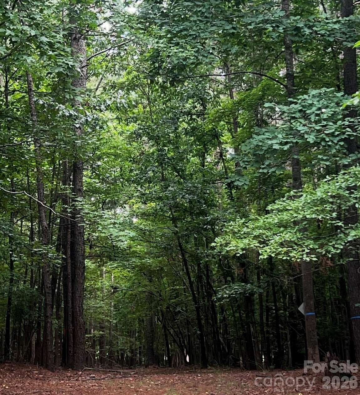 9 Acres of Residential Land for Sale in Waxhaw, North Carolina