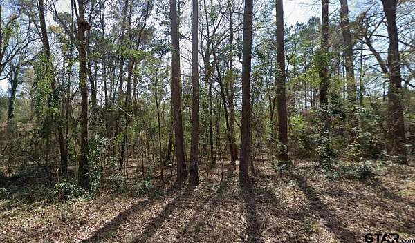 0.34 Acres of Residential Land for Sale in Gilmer, Texas