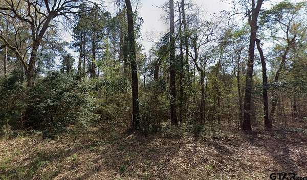 0.34 Acres of Residential Land for Sale in Gilmer, Texas