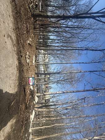 0.39 Acres of Residential Land for Sale in Clarksville, Tennessee