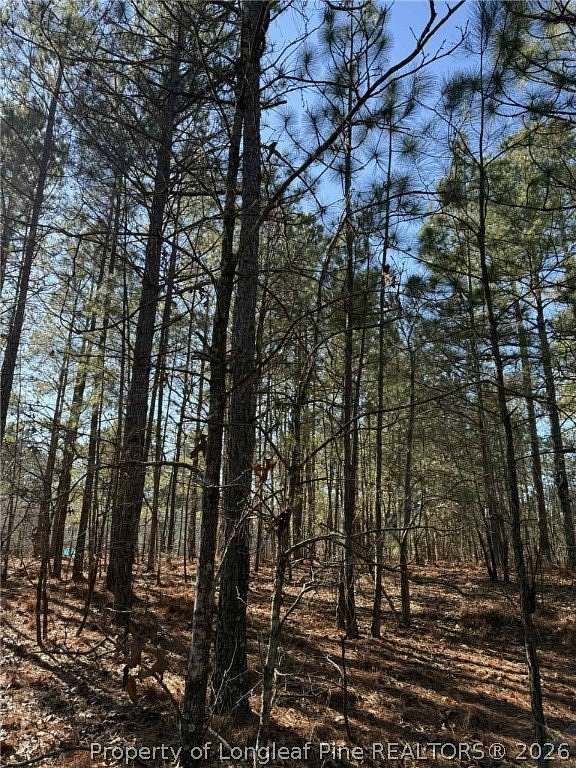 0.84 Acres of Residential Land for Sale in Cameron, North Carolina