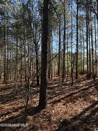0.84 Acres of Residential Land for Sale in Cameron, North Carolina