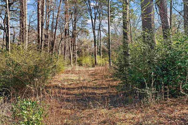 1 Acre of Residential Land for Sale in Kilgore, Texas