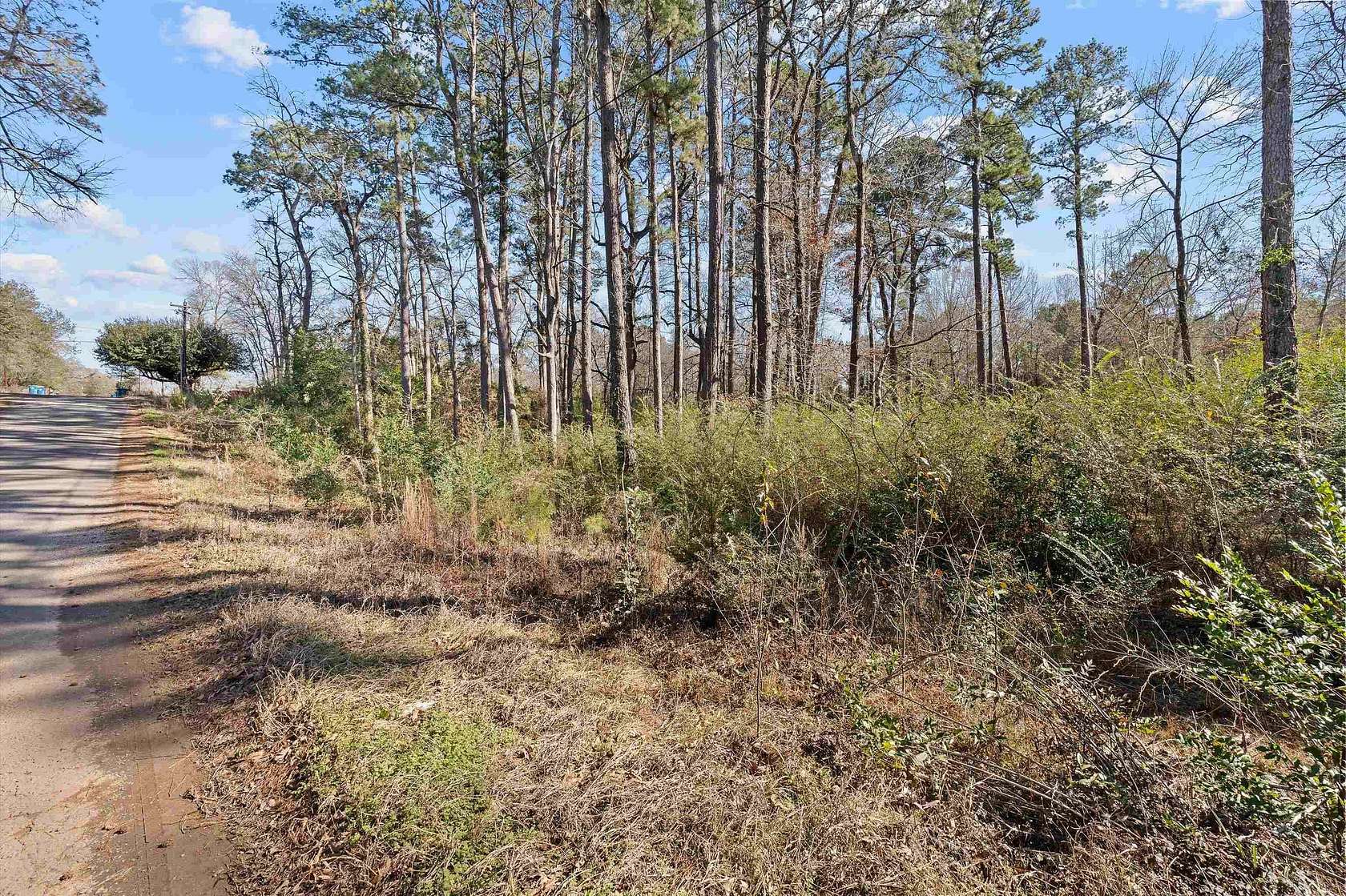 0.47 Acres of Residential Land for Sale in Kilgore, Texas