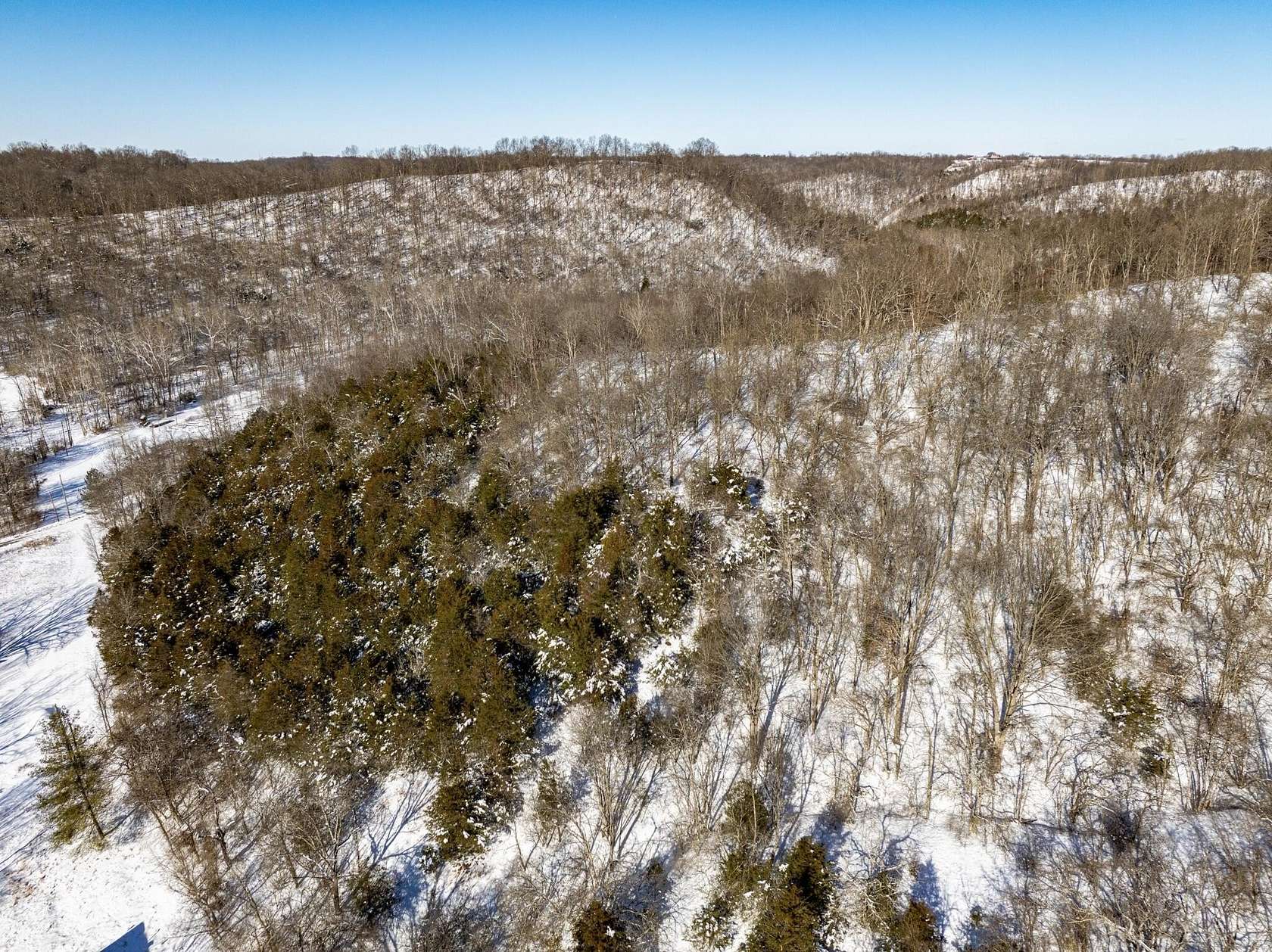 12.3 Acres of Land for Sale in Augusta, Kentucky