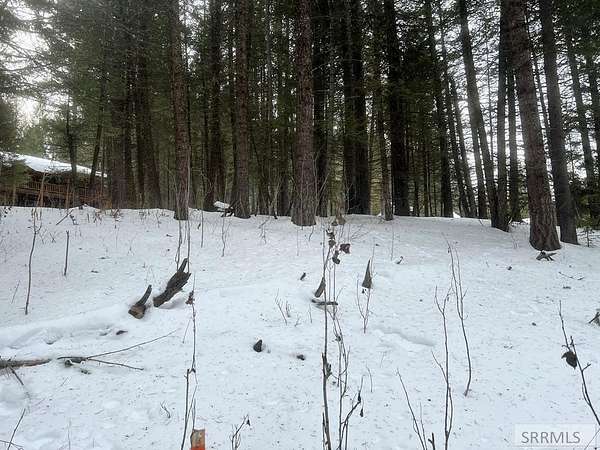 0.25 Acres of Land for Sale in Island Park, Idaho