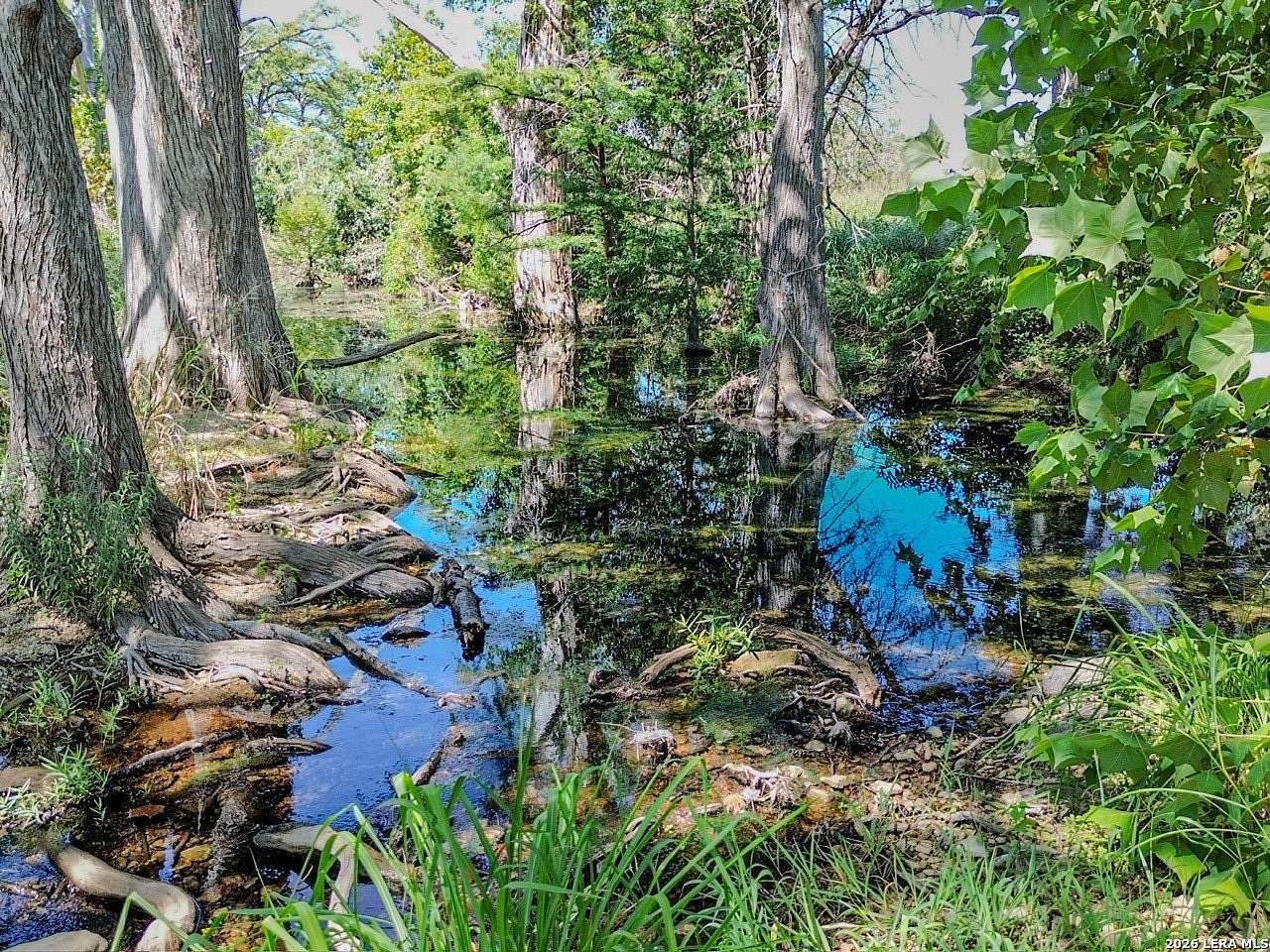 Residential Land for Sale in Blanco, Texas