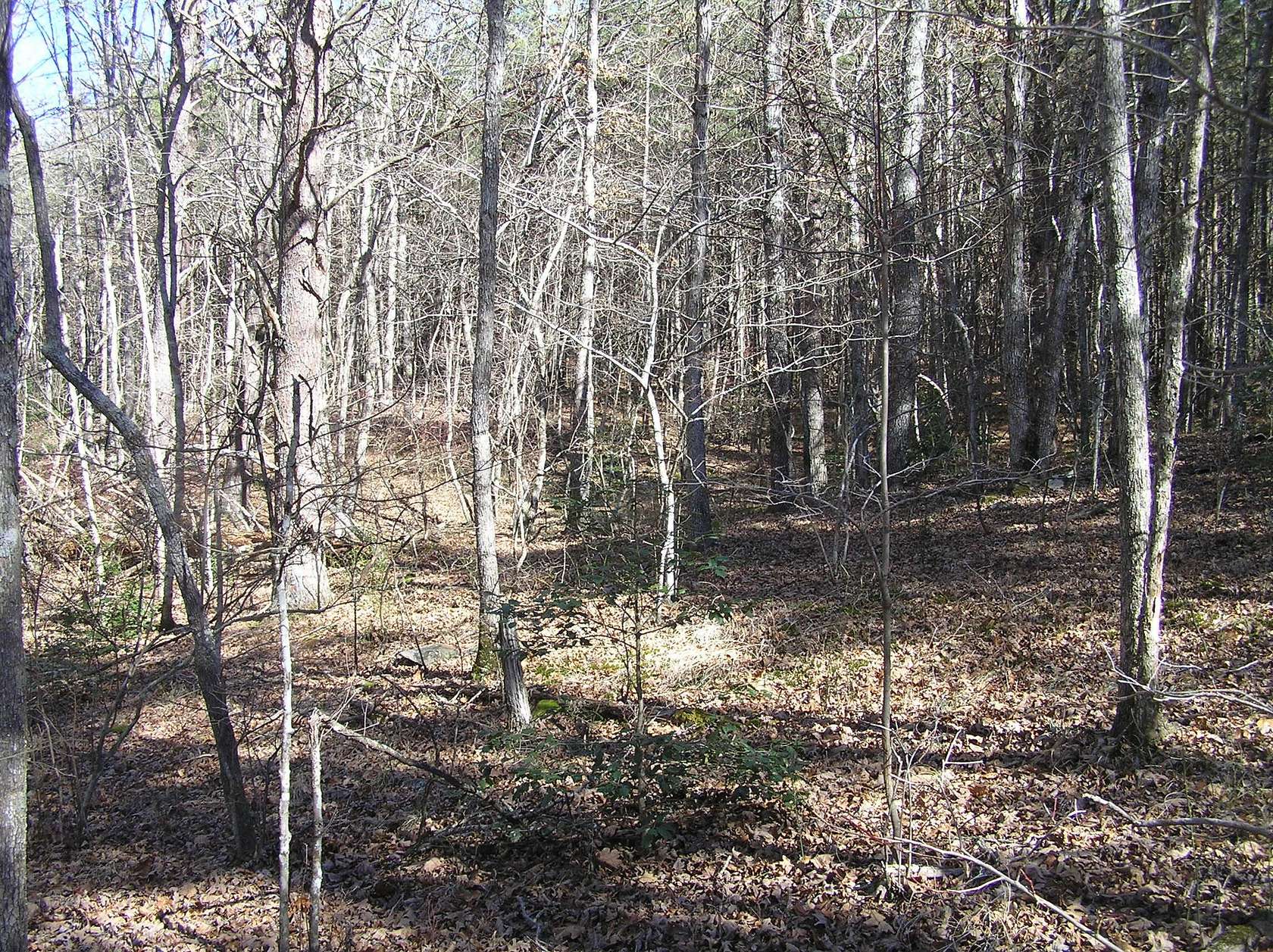 2.68 Acres of Land for Sale in Spencer, Tennessee