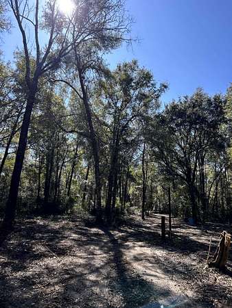 1.9 Acres of Residential Land with Home for Sale in Crawfordville, Florida