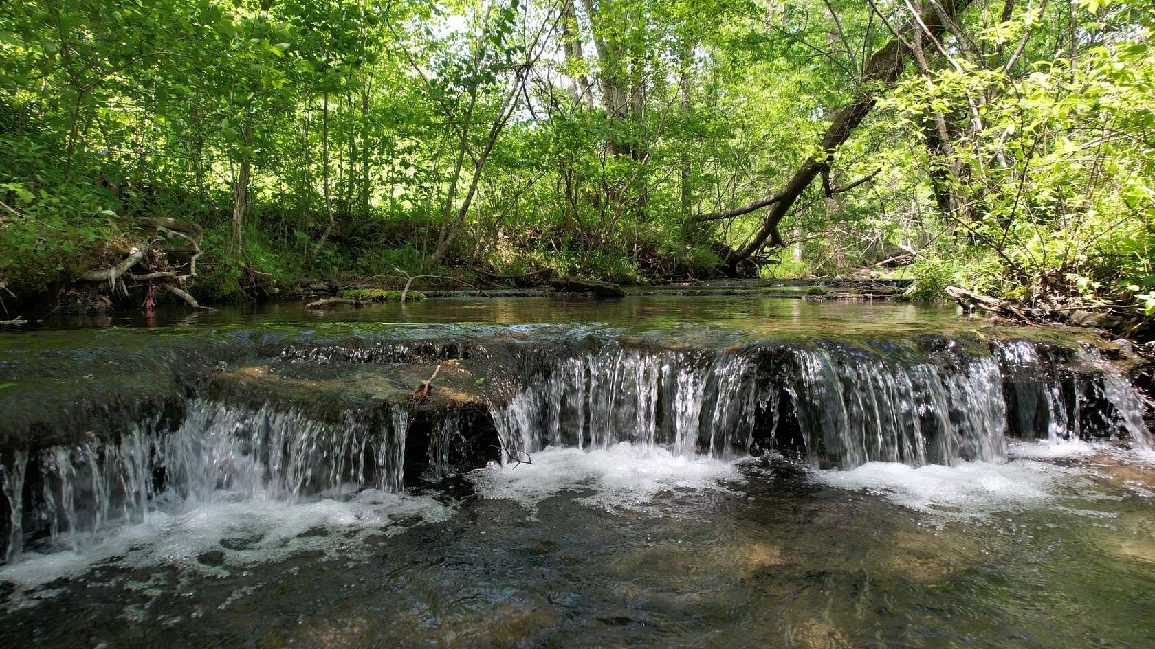 80.5 Acres of Land for Sale in Iron City, Tennessee