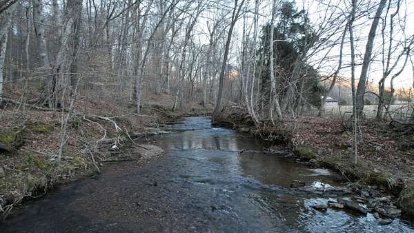 80.5 Acres of Land for Sale in Iron City, Tennessee