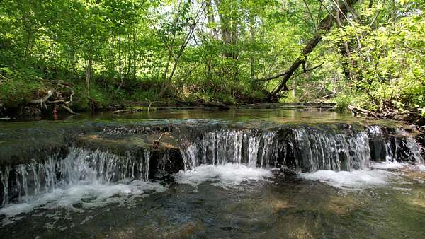 80.5 Acres of Land for Sale in Iron City, Tennessee