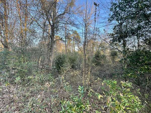 0.74 Acres of Residential Land for Sale in New Ellenton, South Carolina