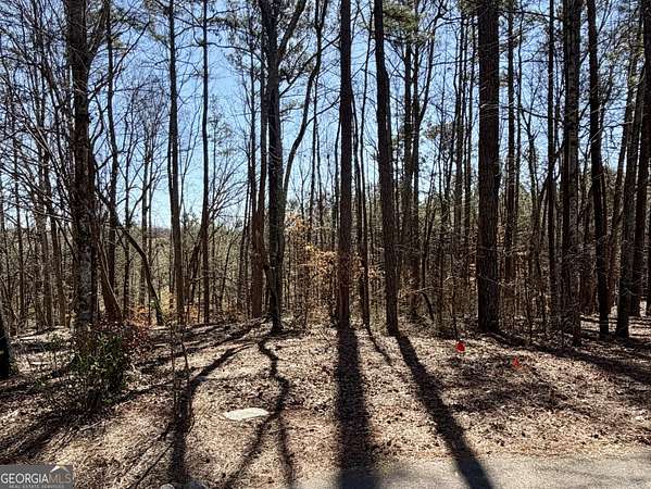 0.5 Acres of Residential Land for Sale in Villa Rica, Georgia