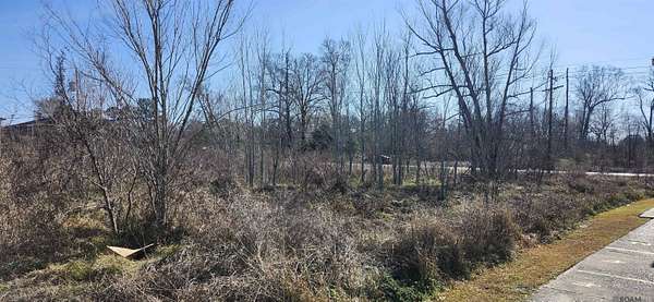 0.24 Acres of Residential Land for Sale in Baton Rouge, Louisiana