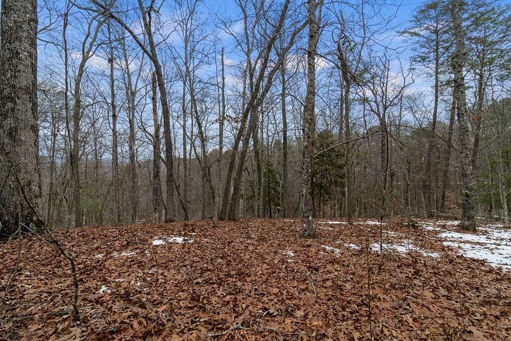 6.8 Acres of Land for Sale in Blue Ridge, Georgia