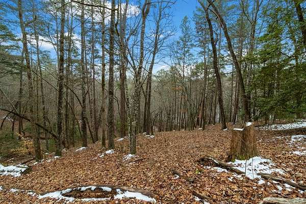 5.3 Acres of Land for Sale in Blue Ridge, Georgia