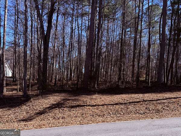 0.24 Acres of Residential Land for Sale in Villa Rica, Georgia