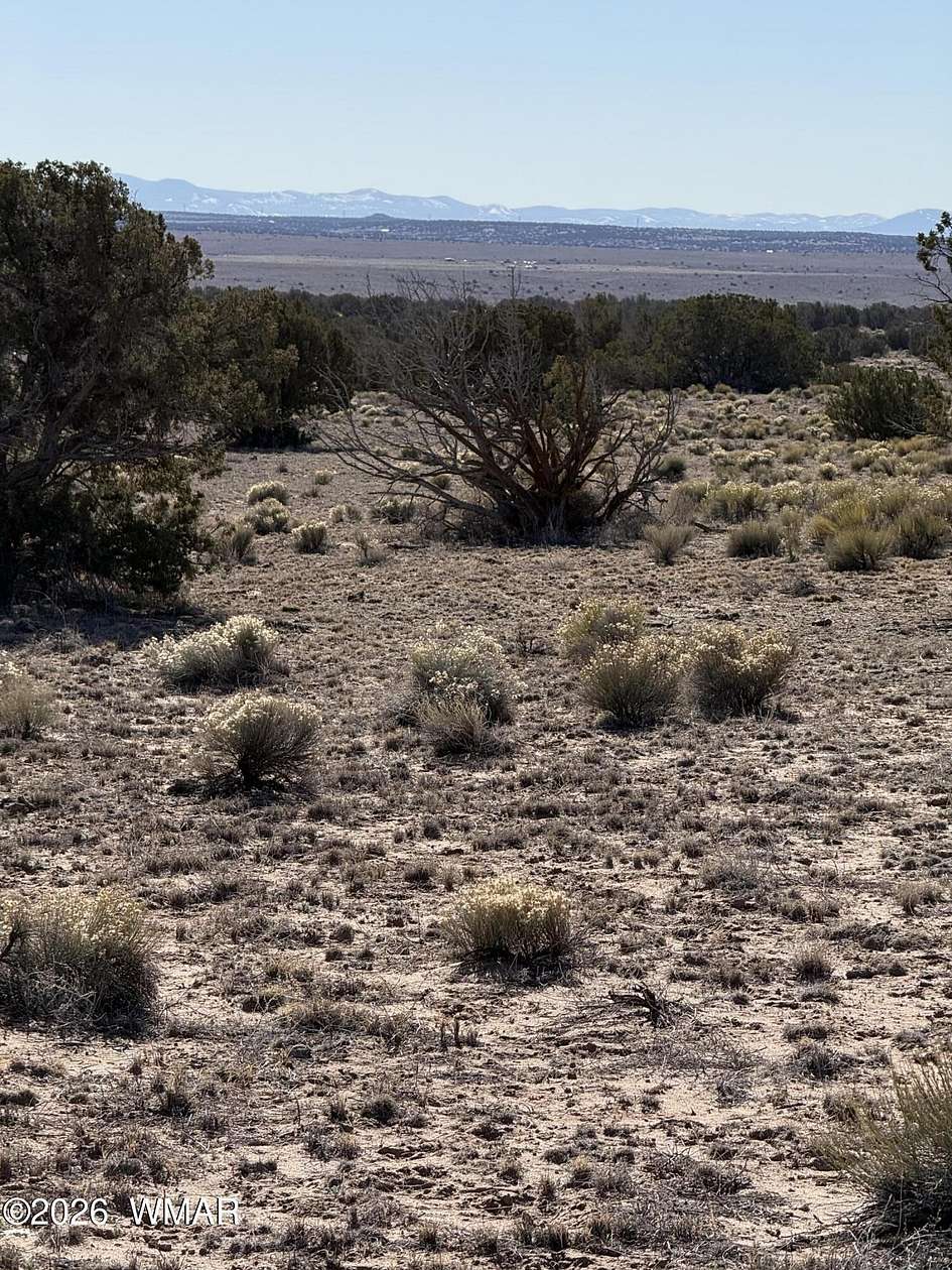 38 Acres of Land for Sale in St. Johns, Arizona