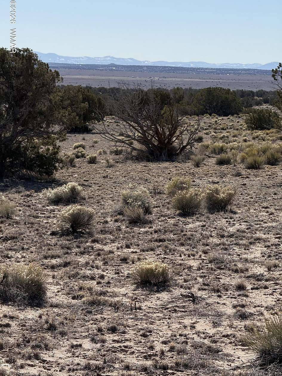 40.2 Acres of Land for Sale in St. Johns, Arizona