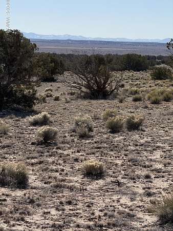 40.2 Acres of Land for Sale in St. Johns, Arizona