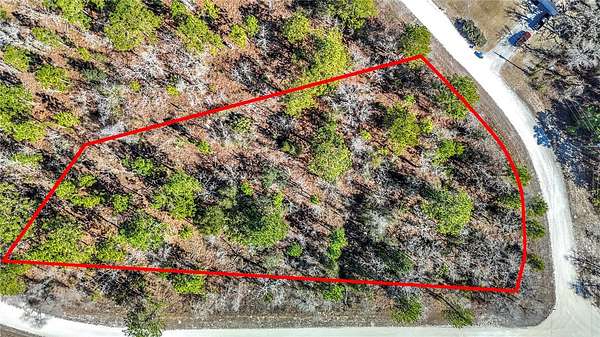 0.77 Acres of Residential Land for Sale in Weeki Wachee, Florida