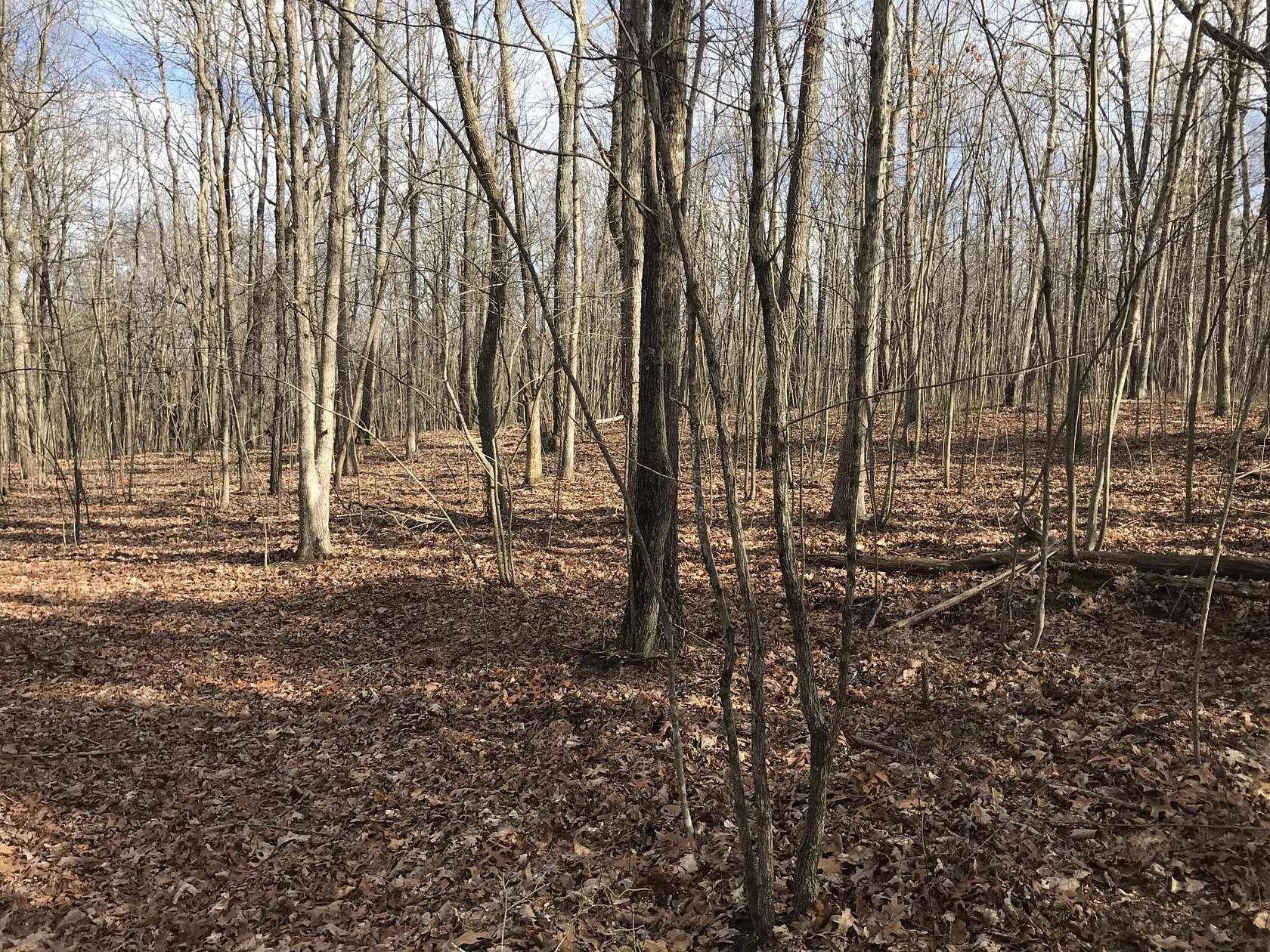3.72 Acres of Land for Sale in Dunlap, Tennessee