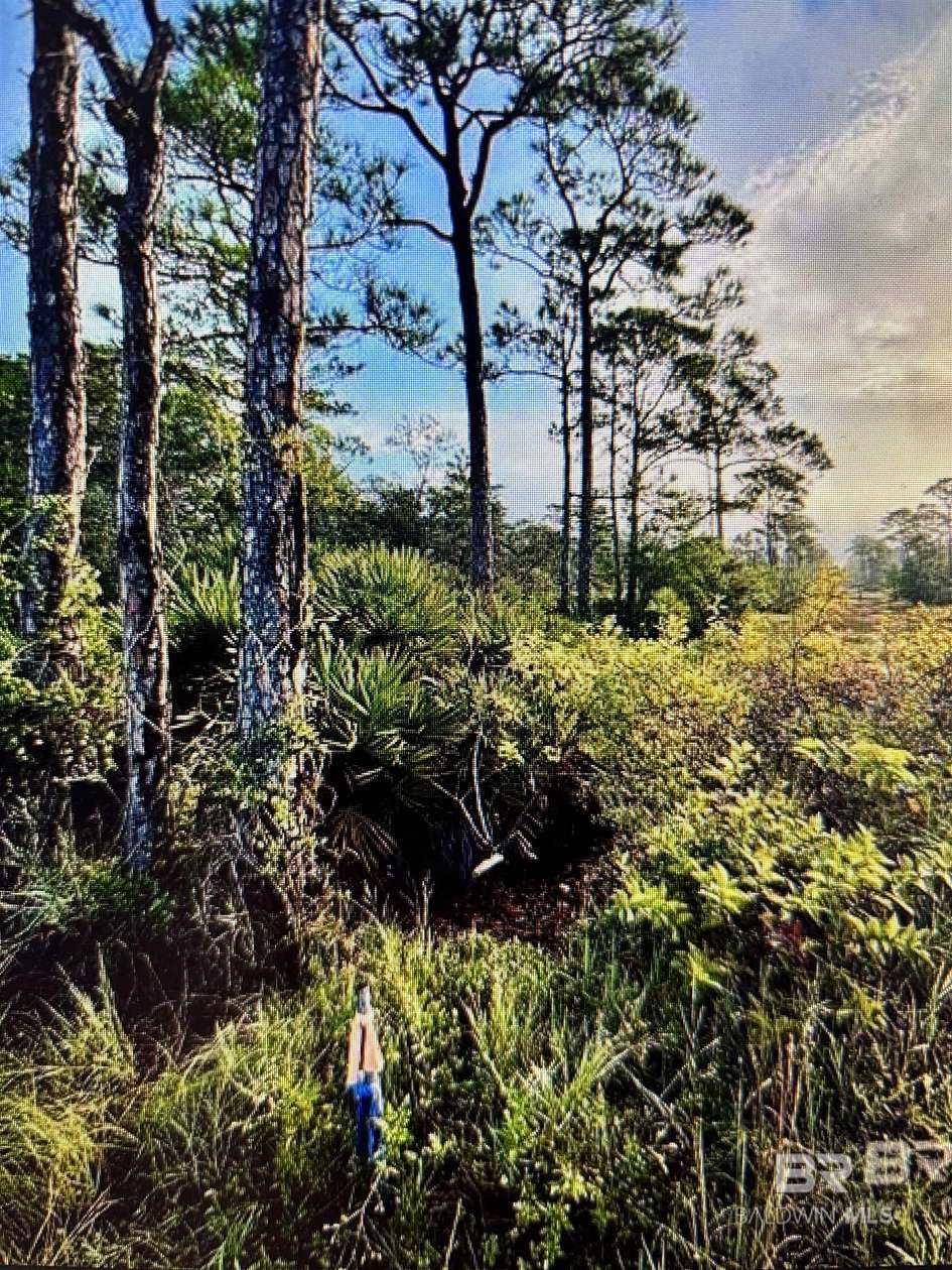 Land for Sale in Gulf Shores, Alabama