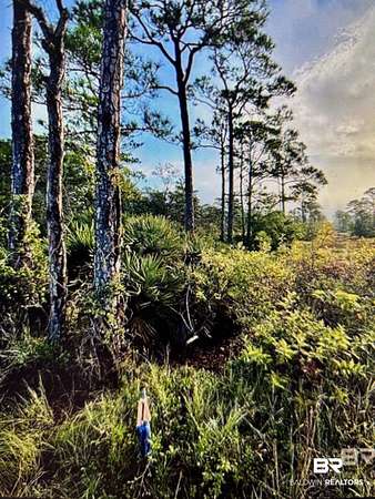 Land for Sale in Gulf Shores, Alabama