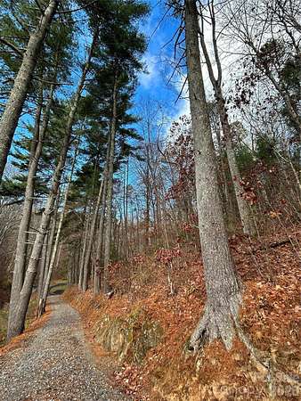 2.75 Acres of Residential Land for Sale in Asheville, North Carolina
