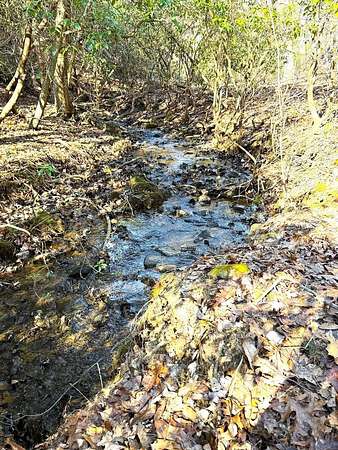 Residential Land for Sale in Murphy, North Carolina