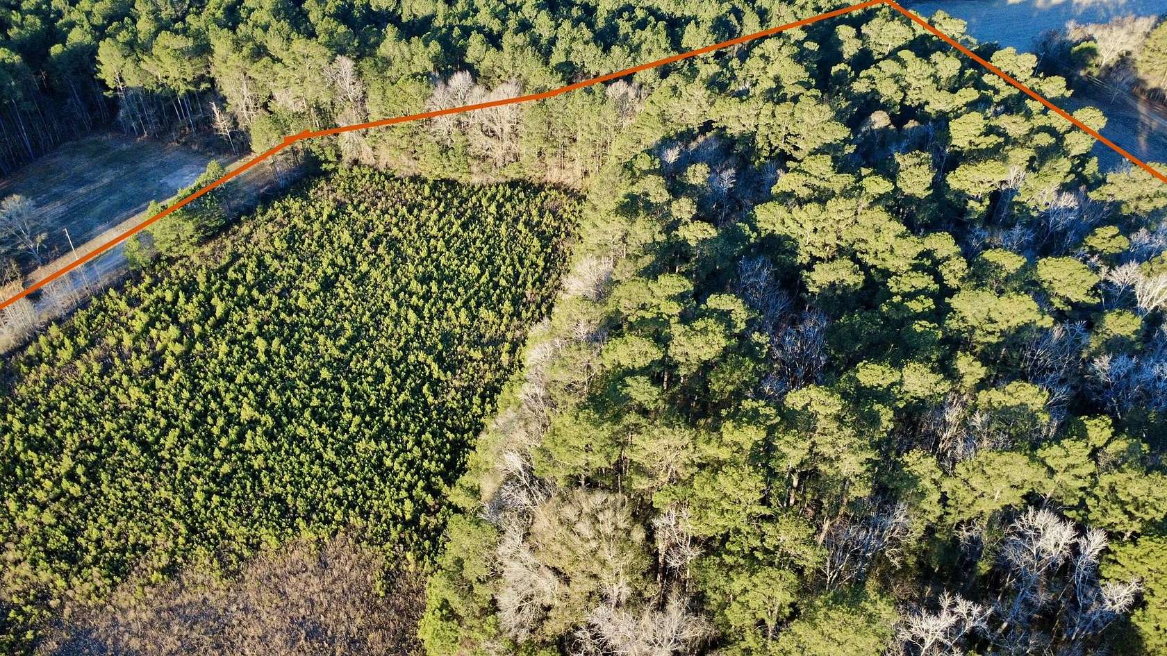 9.84 Acres of Residential Land for Sale in Harleyville, South Carolina