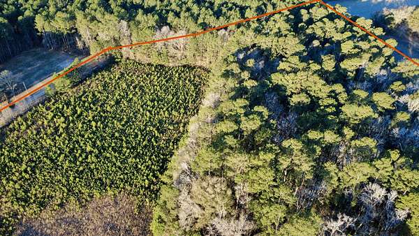 9.84 Acres of Residential Land for Sale in Harleyville, South Carolina